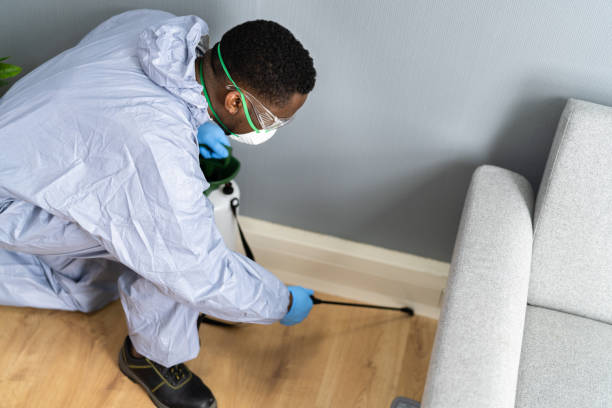 Best Real Estate Pest Inspections  in New Hempstead, NY